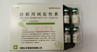 Chorionic Gonadotrophin للحقن ، HCG ، مسحوق أبيض ، معيار USP
